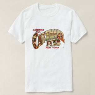 Vintage Catskill Mtns T-Shirt