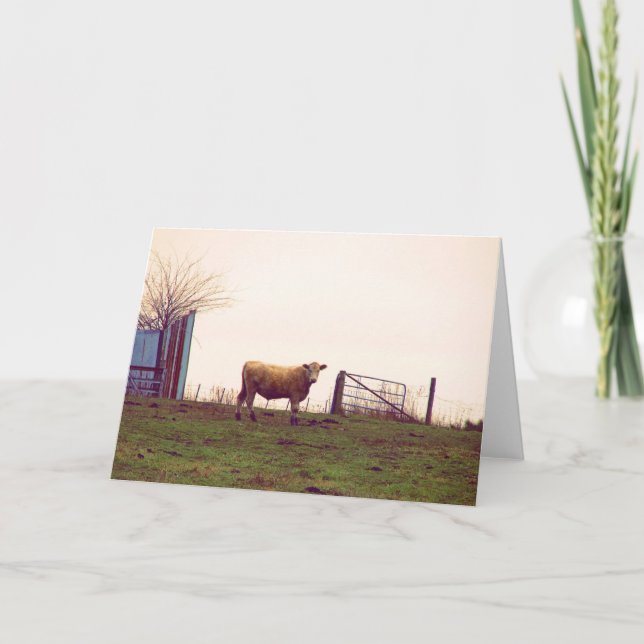 Vintage Cattle Pasture Card (Front)