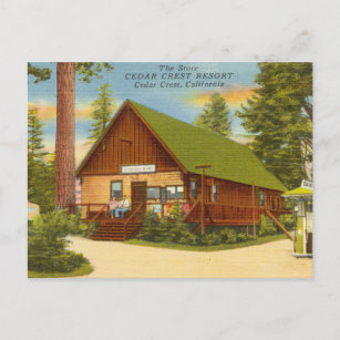 Vintage Cedar Crest, California Postcard