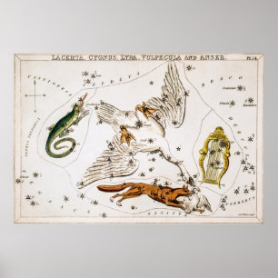 Vintage Celestial Astronomical Map Poster
