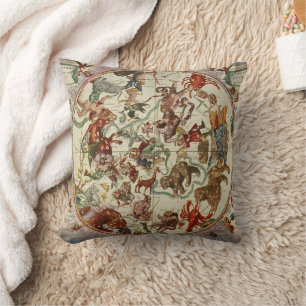 Vintage Celestial Northern Star Chart 1660 Cushion
