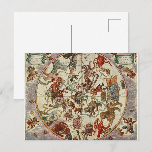 Vintage Celestial Northern Star Chart 1660 Postcard (Front/Back)