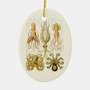 Vintage Cephalopods Ceramic Tree Decoration