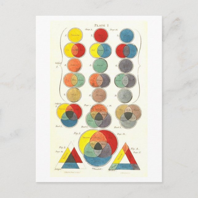 Vintage Charles Hayter Colour Diagram Postcard (Front)