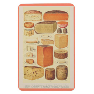 Vintage cheese chart illustration cheese menu magnet