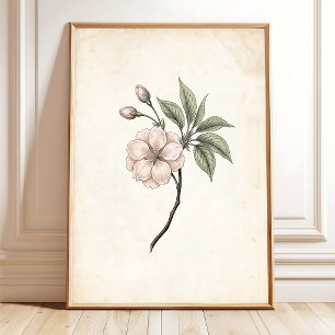 Vintage Cherry Blossom Framed Art Poster
