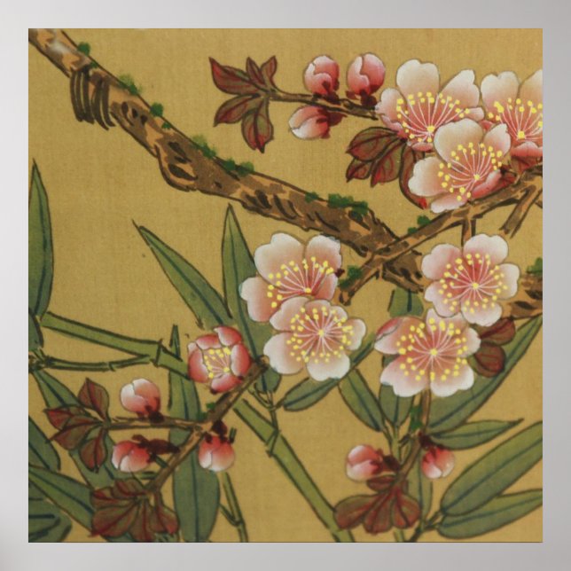 Vintage Cherry Blossoms Asian Japanese Flowers Poster (Front)