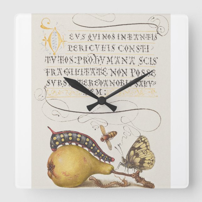 Vintage Chic Calligraphy butterfly Print Square Wall Clock (Front)