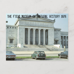 Vintage Chicago Field Museum Photo Postcard