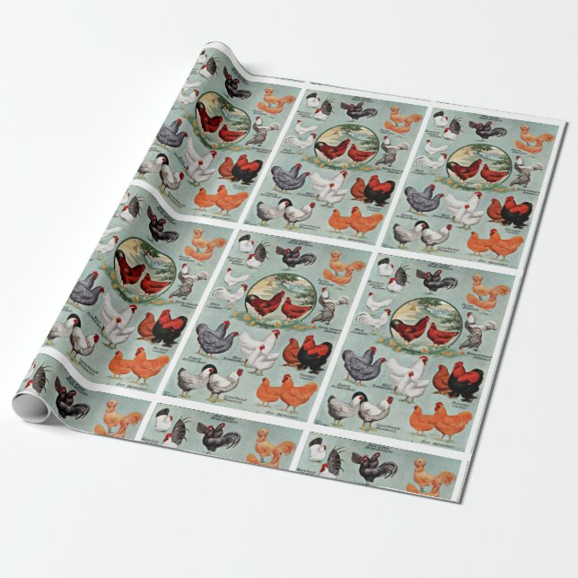 Vintage Chicken Breeds Pattern  Wrapping Paper (Unrolled)