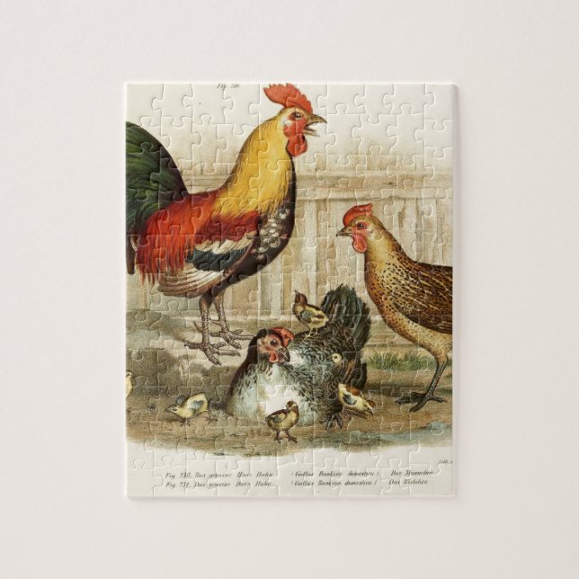 Vintage Chicken family illustration Jigsaw Puzzle (Vertical)