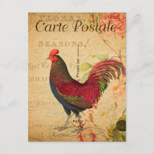 Vintage Chicken Hen Rooster illustration French Postcard