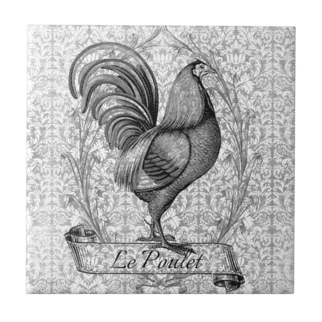 Vintage Chicken Illustration Ceramic Tile (Front)