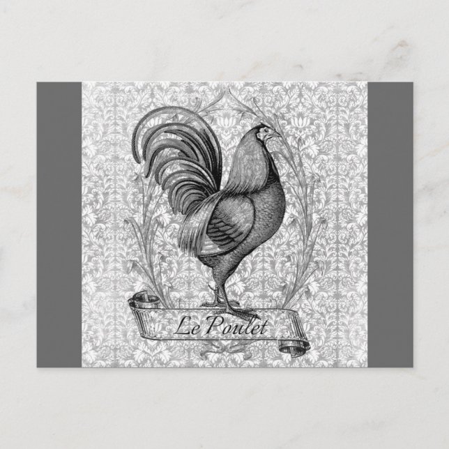 Vintage Chicken Illustration Postcard (Front)