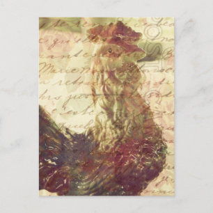 Vintage Chicken Postcard