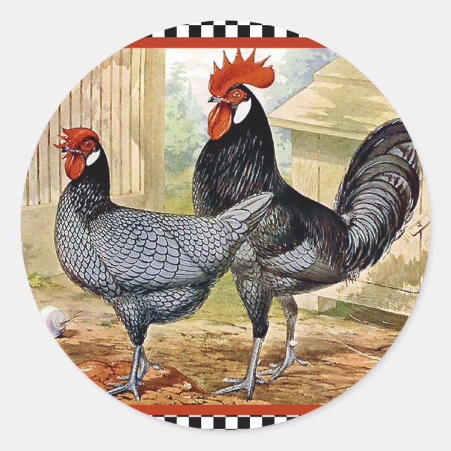 Vintage Chicken Rooster Classic Round Sticker (Front)