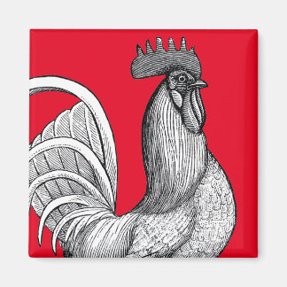 Vintage Chicken Rooster Magnet