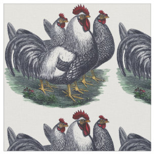 Vintage Chicken Trio Fabric