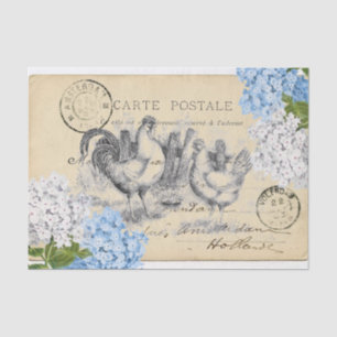 Vintage Chickens Blue Flower Postcard Tissue Paper