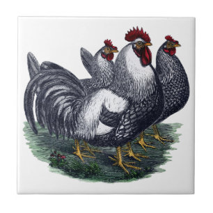 Vintage Chickens Ceramic Tile