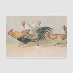 Vintage Chickens Running Tissue Paper