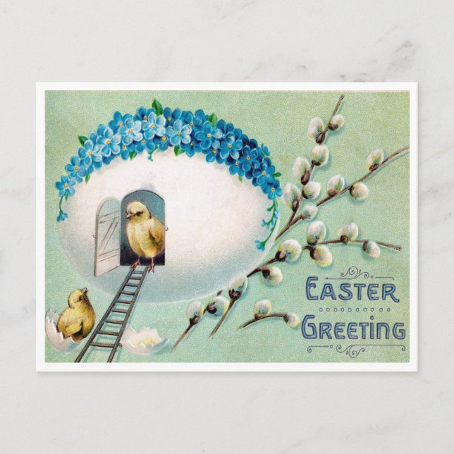 Vintage Chicks Easter Greeting Postcard (Front)