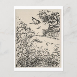 Vintage Children's Book Illustration Butterflies Postcard