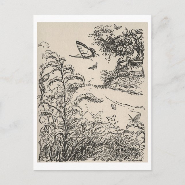 Vintage Children's Book Illustration Butterflies Postcard (Front)
