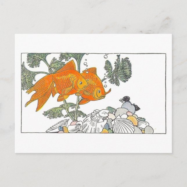 Vintage Children's Book Illustration Goldfish Postcard (Front)