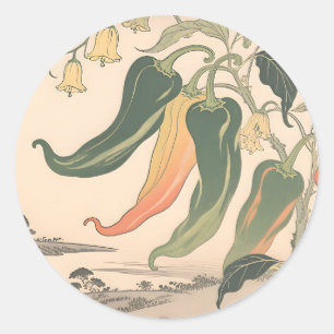Vintage Chilli Pepper Illustration Classic Round Sticker