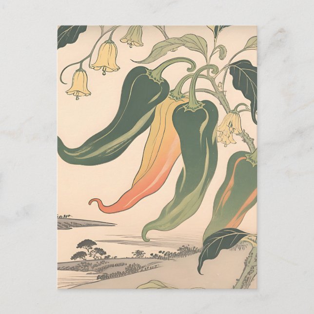 Vintage Chilli Pepper Illustration Postcard (Front)