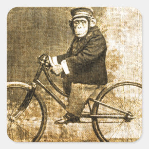 Vintage Chimpanzee on a Bicycle Square Sticker