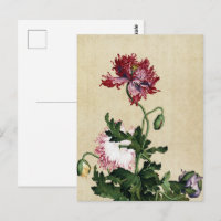 Vintage Chinese Red Poppy Botanical Art
