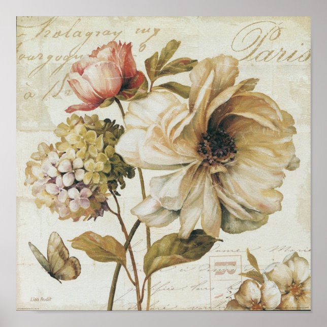 Vintage Chinese Rose. Poster (Front)