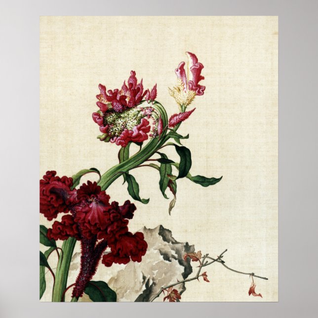 Vintage Chinoiserie Red Cockscomb Flower Art Poster (Front)