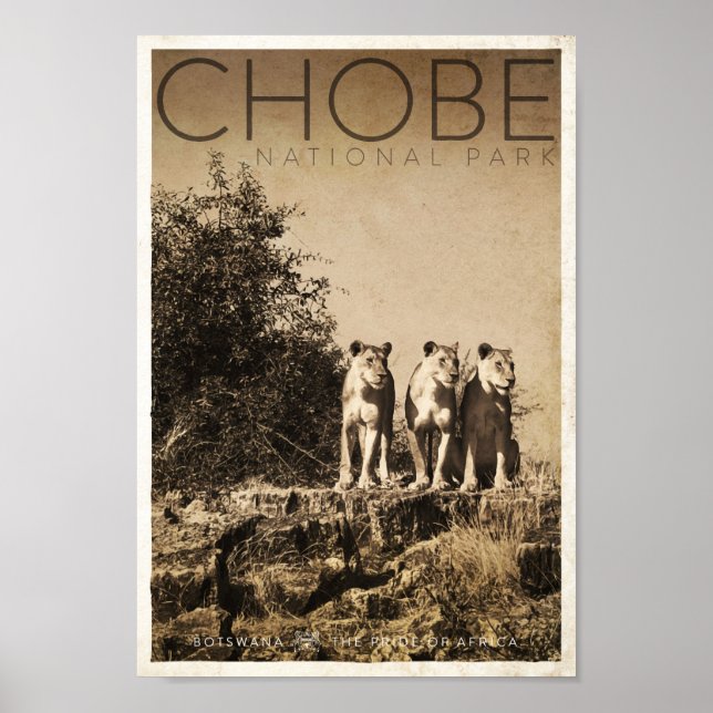 Vintage Chobe National Park Travel Poster (Front)