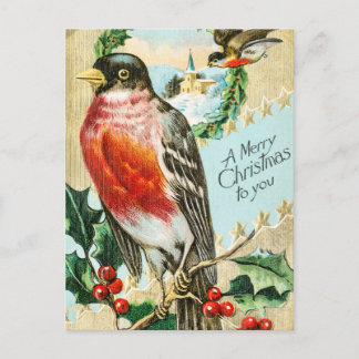 Vintage Christmas Birds and Holly Winter Snow Holiday Postcard