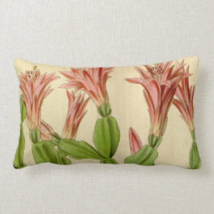 Vintage Christmas Cactus Lumbar Pillow