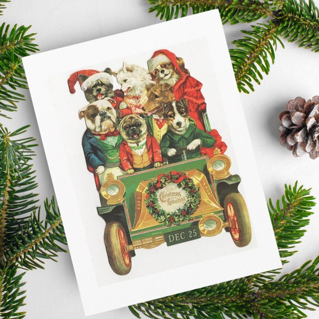 Vintage Christmas Car Load Of Dogs Holiday Postcard (Creator Uploaded)