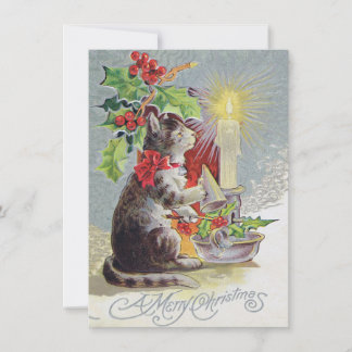 Vintage Christmas Card with a Cat and Holly