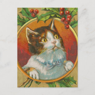 Vintage Christmas Cat Holiday Postcard