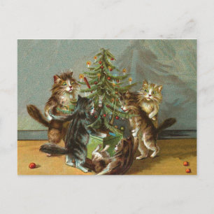 Vintage Christmas cats Holiday Postcard