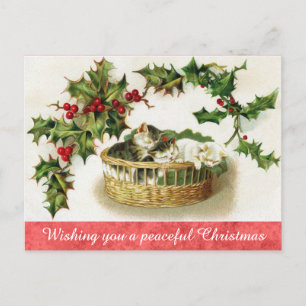 Vintage Christmas Cute Kitten Cat  Postcard