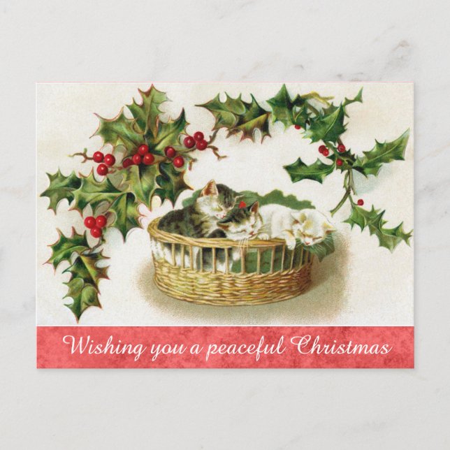 Vintage Christmas Cute Kitten Cat  Postcard (Front)