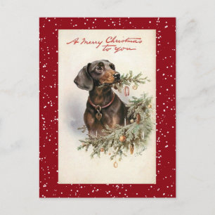 Vintage Christmas Dachshund Dog Holiday Postcard