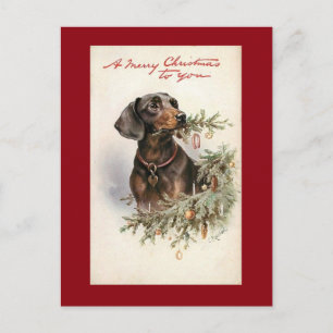Vintage Christmas Dachshund Dog Holiday Postcard