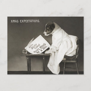 Vintage Christmas Dog Puppy Humour Postcard