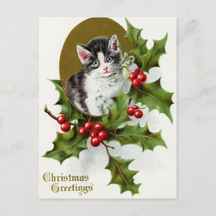 Vintage Christmas Holiday cat holly postcard