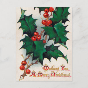 Vintage Christmas holly berry postcard