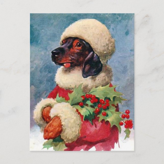 Vintage Christmas Holly Dachshund Postcard (Front)